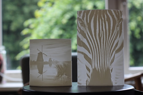 DePrintograaf - jouw foto in 3D